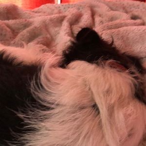 Meet your Posher, Karla